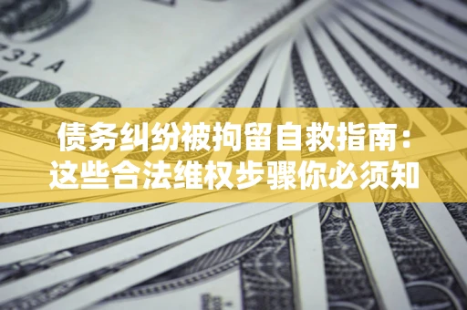 武汉债务纠纷被拘留自救指南：这些合法维权步骤你必须知道！