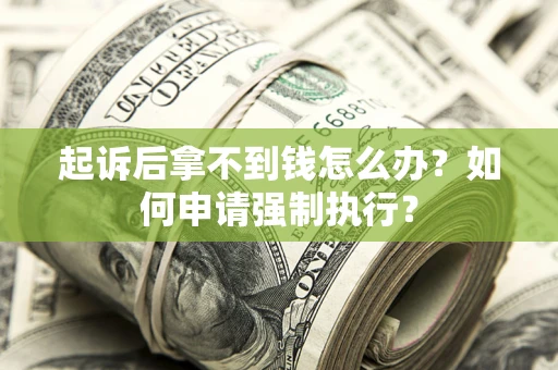 武汉起诉后拿不到钱怎么办？如何申请强制执行？