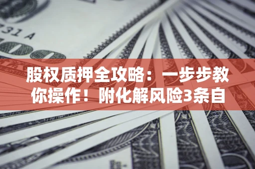 武汉股权质押全攻略：一步步教你操作！附化解风险3条自救法则