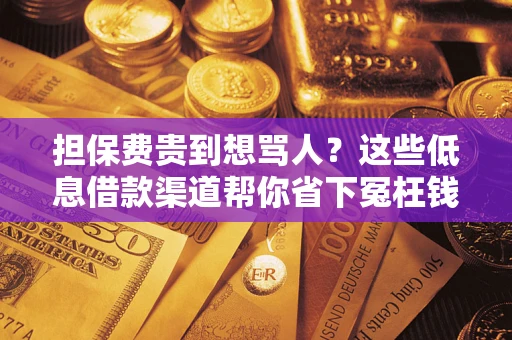 武汉担保费贵到想骂人？这些低息借款渠道帮你省下冤枉钱