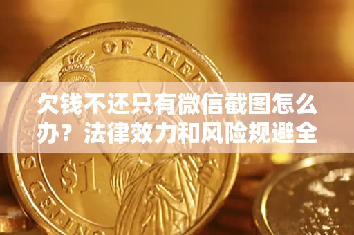 武汉欠钱不还只有微信截图怎么办？法律效力和风险规避全解析