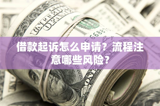 武汉借款起诉怎么申请？流程注意哪些风险？