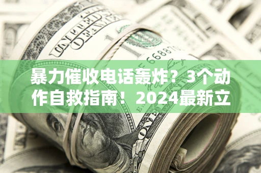 武汉暴力催收电话轰炸？3个动作自救指南！2024最新立案标准全解析