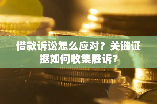 武汉借款诉讼怎么应对？关键证据如何收集胜诉？